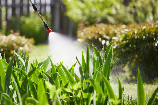 Tamper-Resistant Bait Stations for Rodents in Lake Crystal
