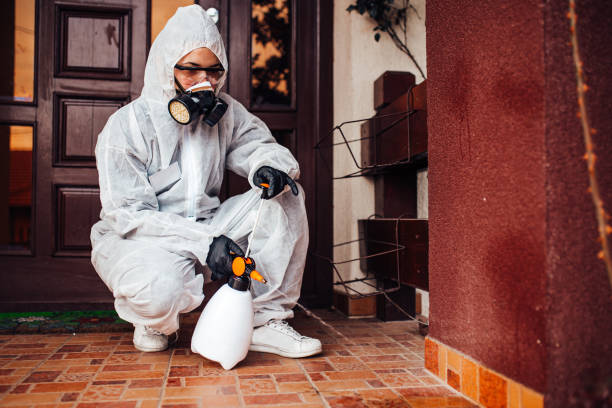 Attic and Crawl Space Rodent Treatment in Lake Crystal