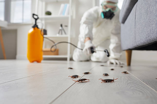 Commercial Rodent Management in Lake Crystal
